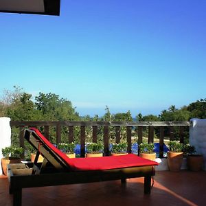 Studio Terrace